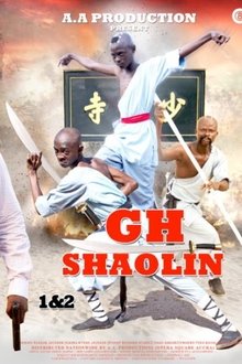 GH Shaolin movie poster
