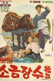A Salt Peddler movie poster