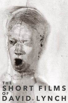 The Short Films of David Lynch movie poster