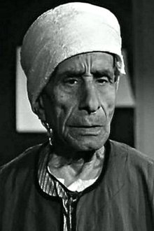 Ali Kamal profile picture