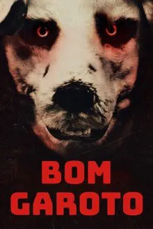 Poster do filme Bom Garoto