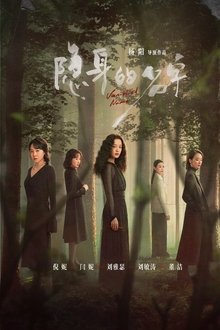 Vanished Name tv show poster
