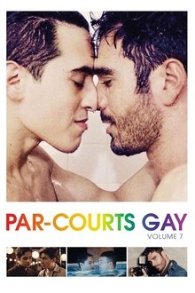 Par-courts Gay, Volume 7 movie poster