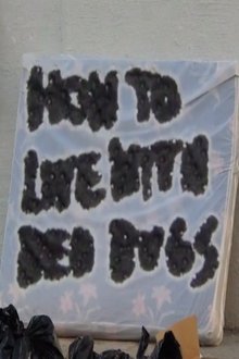 How To Live with Bed Bugs movie poster