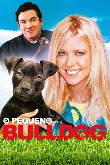 Poster do filme O Pequeno Bulldog