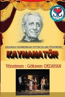 Kaynanatör movie poster