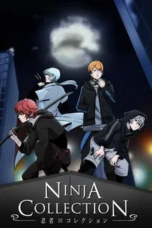 Ninja Collection tv show poster