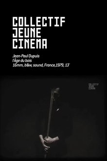 L'Age du bois movie poster