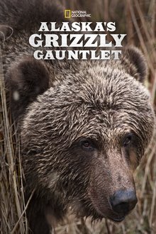 Alaska's Grizzly Gauntlet tv show poster