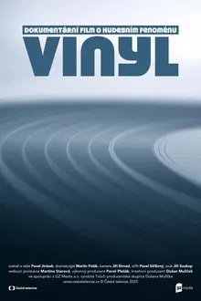 Vinyl movie poster