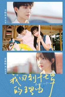 Back to Seventeen tv show poster