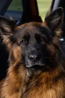 Вера фон Марс Итали profile picture