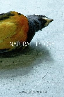 Natural History movie poster