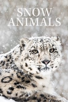 Snow Animals movie poster