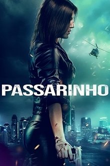 Poster do filme Passarinho