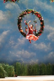 Poster do filme Donizetti: Don Pasquale