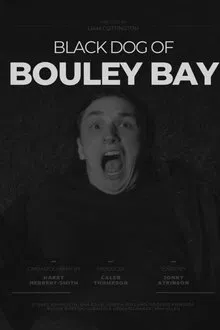 Black Dog of Bouley Bay movie poster