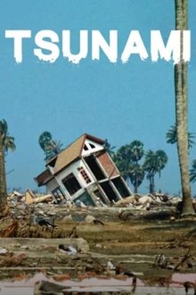 Tsunami tv show poster
