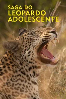 Poster do filme Saga do Leopardo Adolescente
