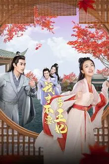 I Don't Want to Be The Princess tv show poster