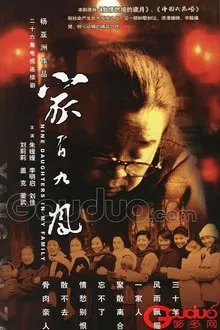 Nine Daughters in My Family tv show poster