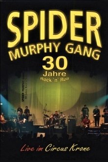 Spider Murphy Gang - 30 Jahre Rock'n'Roll movie poster