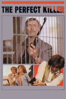 The Perfect Killer movie poster