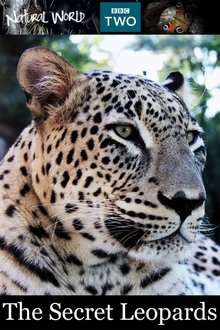 The Secret Leopards movie poster