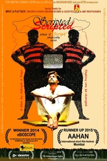 Scripted Short Film movie poster