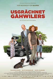 Meet The Gähwilers movie poster