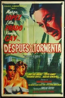 Después de la tormenta movie poster