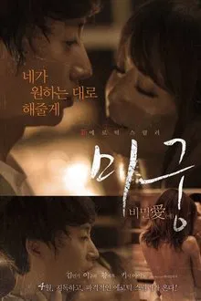 Maze: Secret Love movie poster