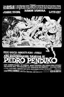 Ang Mahiwagang Daigdig ni Pedro Penduko movie poster