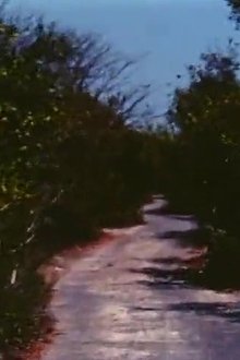 Road to Nowhere movie poster