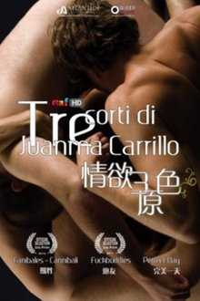 Juanma Carrillo 3 Erotic Shorts movie poster