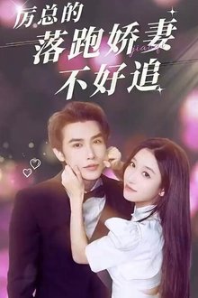 厉总的落跑娇妻不好追 tv show poster