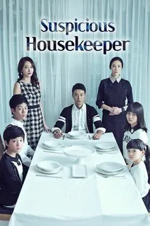 The Suspicious Housekeeper tv show poster