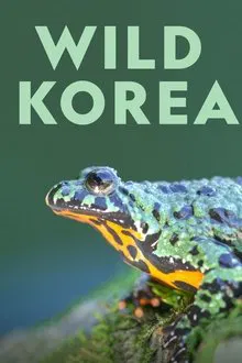 Wild Korea tv show poster