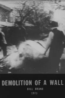 Demolition of a Wall movie poster
