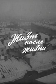Жизнь после жизни movie poster