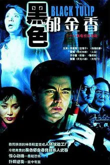黑色郁金香 tv show poster