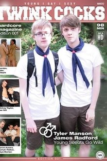Young Scouts Go Wild movie poster
