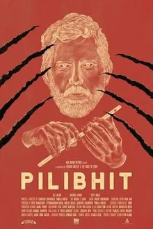 Pilibhit movie poster