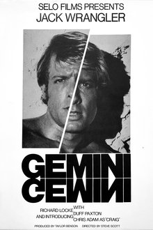 Gemini movie poster