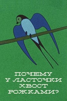 Why the Swallow's Tail Is Double? movie poster