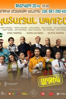 Absolutely Idiot movie poster
