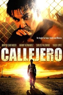 Callejero movie poster