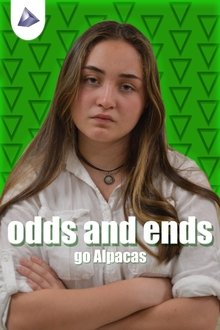 Odds & Ends tv show poster