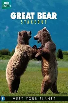 Great Bear Stakeout tv show poster