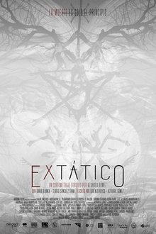 Extático movie poster